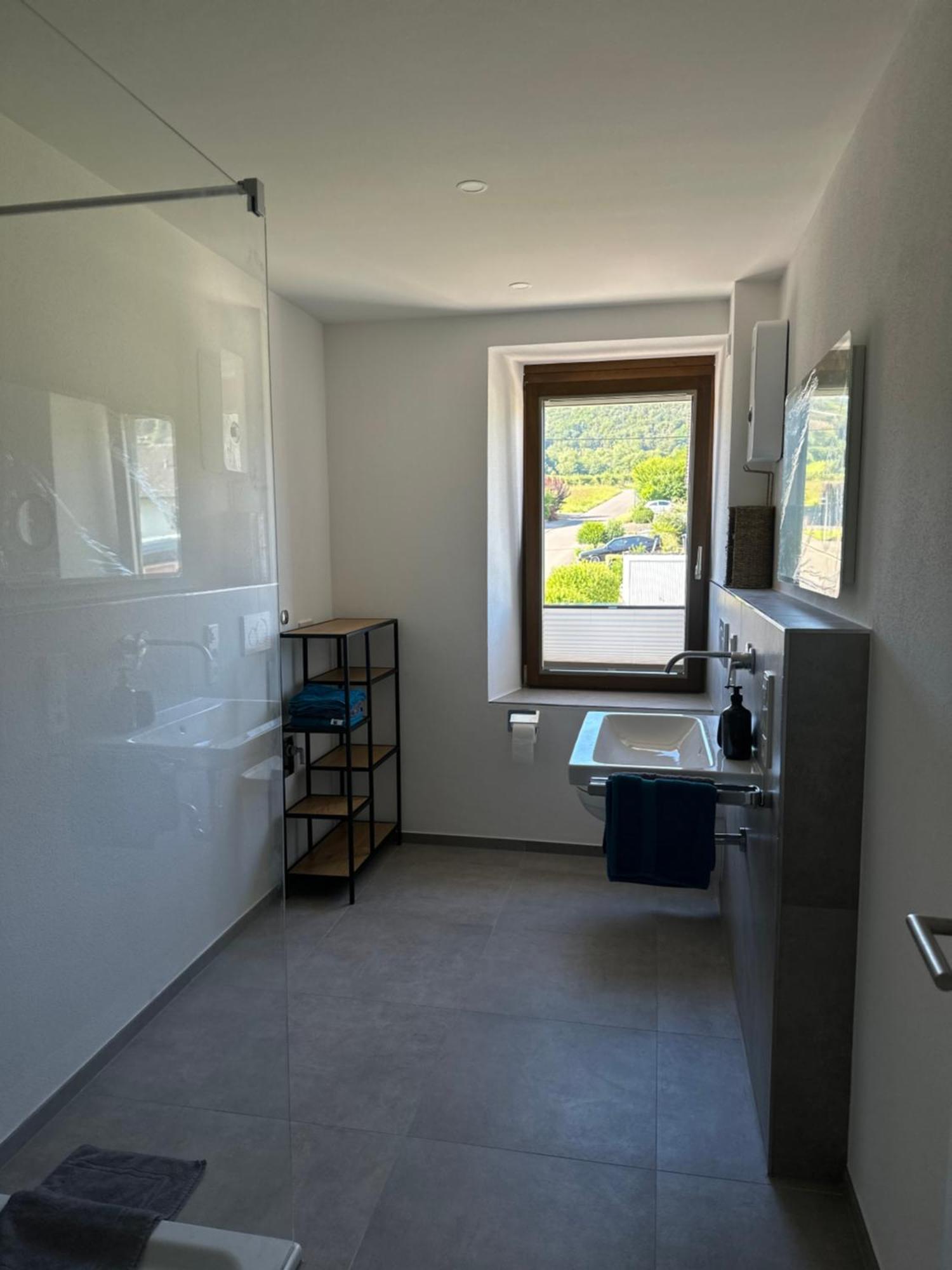 Moselappartements By Weingut Marco Adamy Losnich Ngoại thất bức ảnh