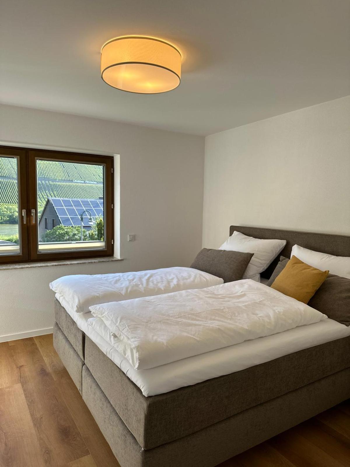 Moselappartements By Weingut Marco Adamy Losnich Ngoại thất bức ảnh