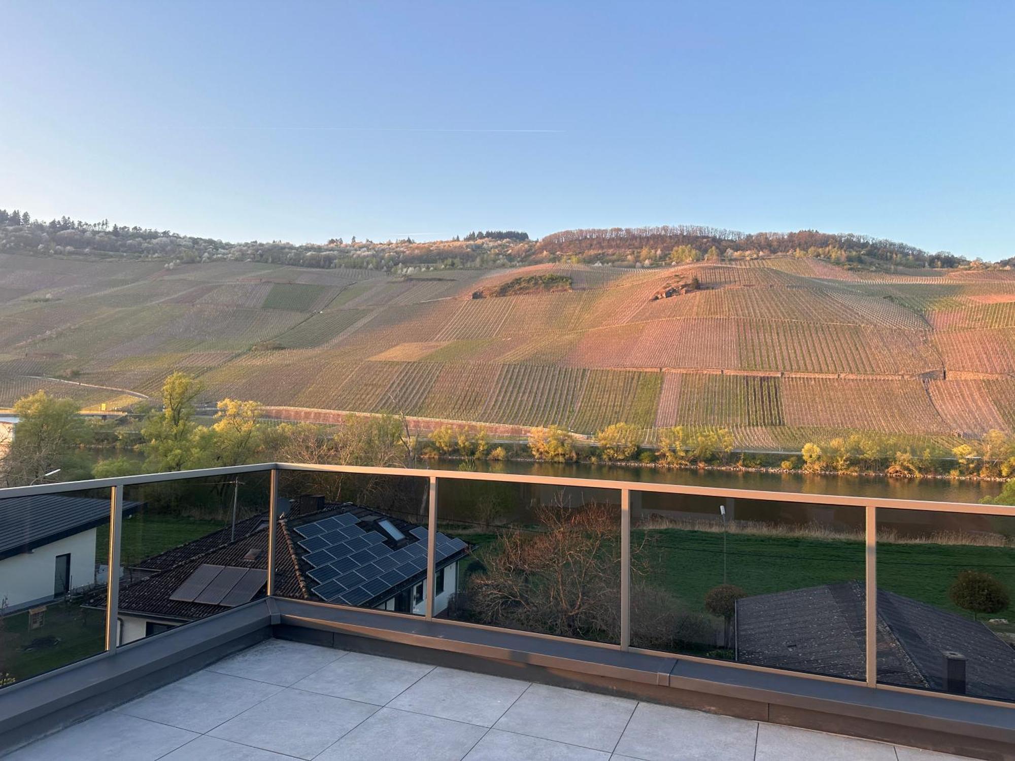 Moselappartements By Weingut Marco Adamy Losnich Ngoại thất bức ảnh